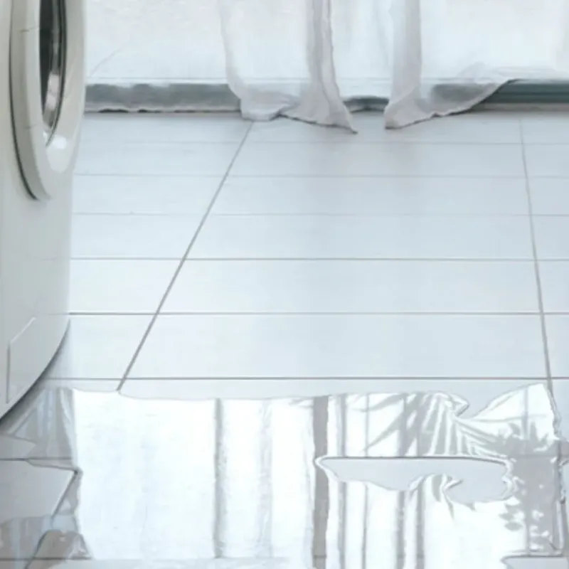 Appliance Leak Cleanup in Preston County, WV