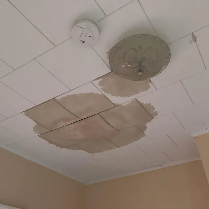 Ceiling Water Damage Repair in Preston County, WV