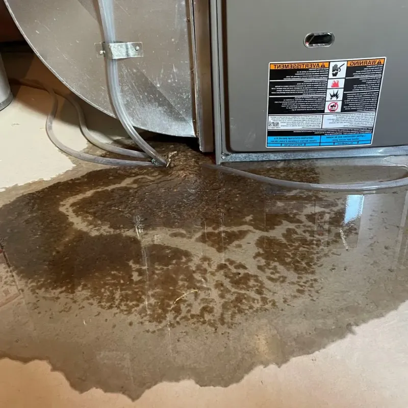 Pipe Burst and Leak Restoration in Preston County, WV